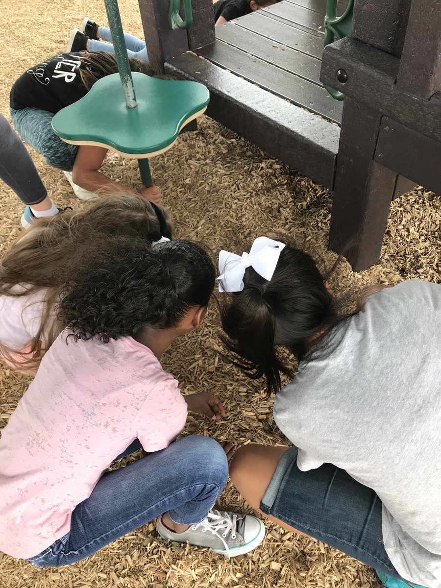 nhenderson4th's tweet photo. When there are baby bunnies on the playground... 😊❤️😊
#mosslearns #moss4 https://t.co/wIErWO1SiN