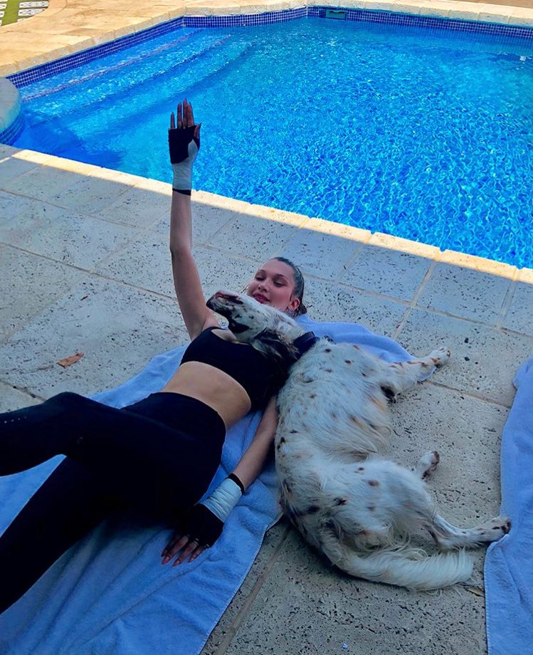 bellahadidIT's tweet photo. bellahadid: Wooowww!!!!!! I love this.... Congratulations @Wag for donating over 5 millions meals to shelter dogs across America.... through its partnership with @greatergoodorg no puppy or person should ever go unloved or unfed...
So proud!!!! #AD #charlieboyworkouts #streeetch https://t.co/3WDDAszWoI