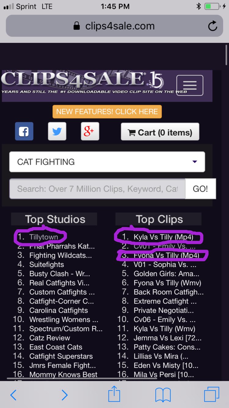 Tilly McReese on X: #1 in cat fighting studios and #1 & #3 in cat fighting  clips! I'm happy with that. Get on down to Tillytown 😁  t.co9bwZO2Tk2i #catfight #fightinggirls #bitchfight #hairpulling #