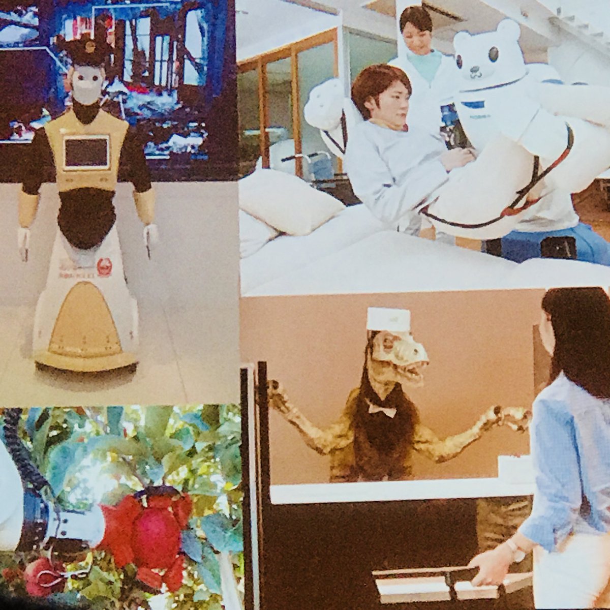 alteredbodies's tweet photo. And on a fun note: @tgharwood shows us varieties of robots and their roles, including a robotic velociraptor, who mans the desk at a Japanese hotel. #velociraptor #JurassicPark #robotics #dinosaurs https://t.co/jHmT8CSWuB