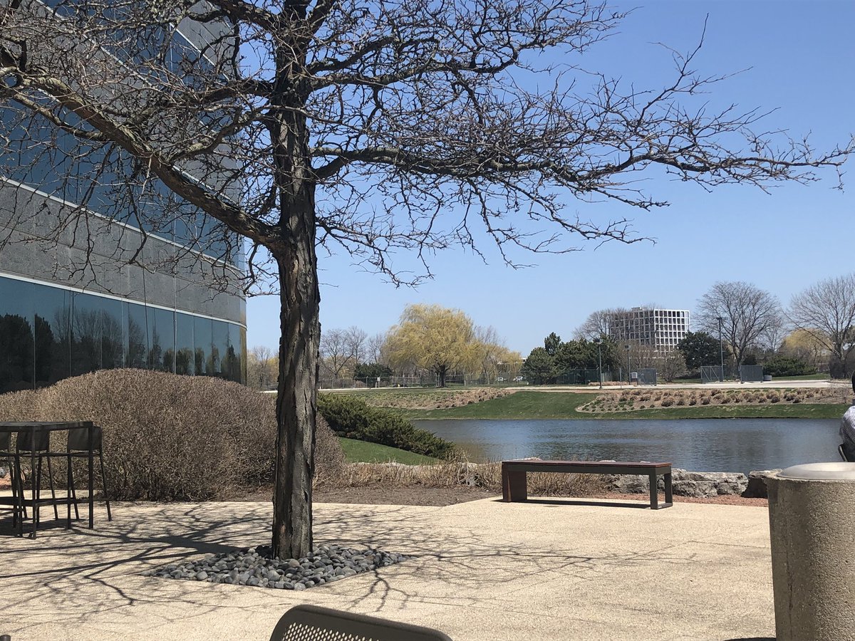 stephbohr's tweet image. Company opened the outdoor cafe and truly enjoying this beautiful sunny view! #soakingupvitaminD #nojacketneeded #warmsunfeelsgood