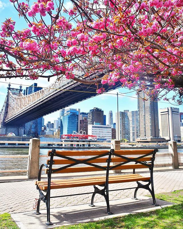 RT<a href="/gigi_nyc/">Gigi A</a> And suddenly you just know: it’s time to start something new and trust the magic of beginnings.
- Meister Eckhart
.