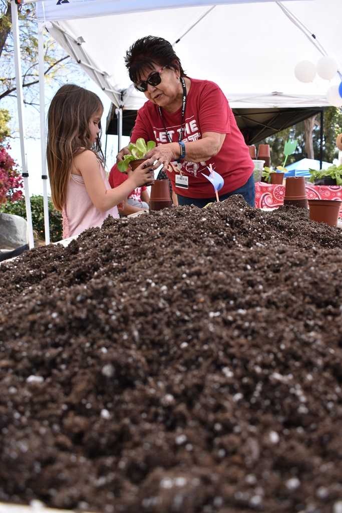City of Pomona Ca tweet media