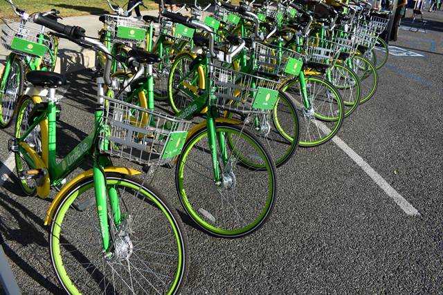 City of Pomona Ca tweet media