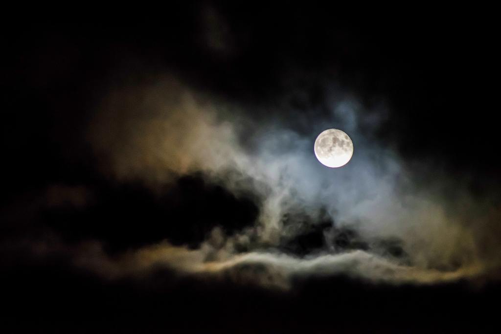 HealingMeow's tweet photo. Post-Full Moon Anxiety Release Meditation https://t.co/J6QSI1xIlb https://t.co/kRQHDMoVAT