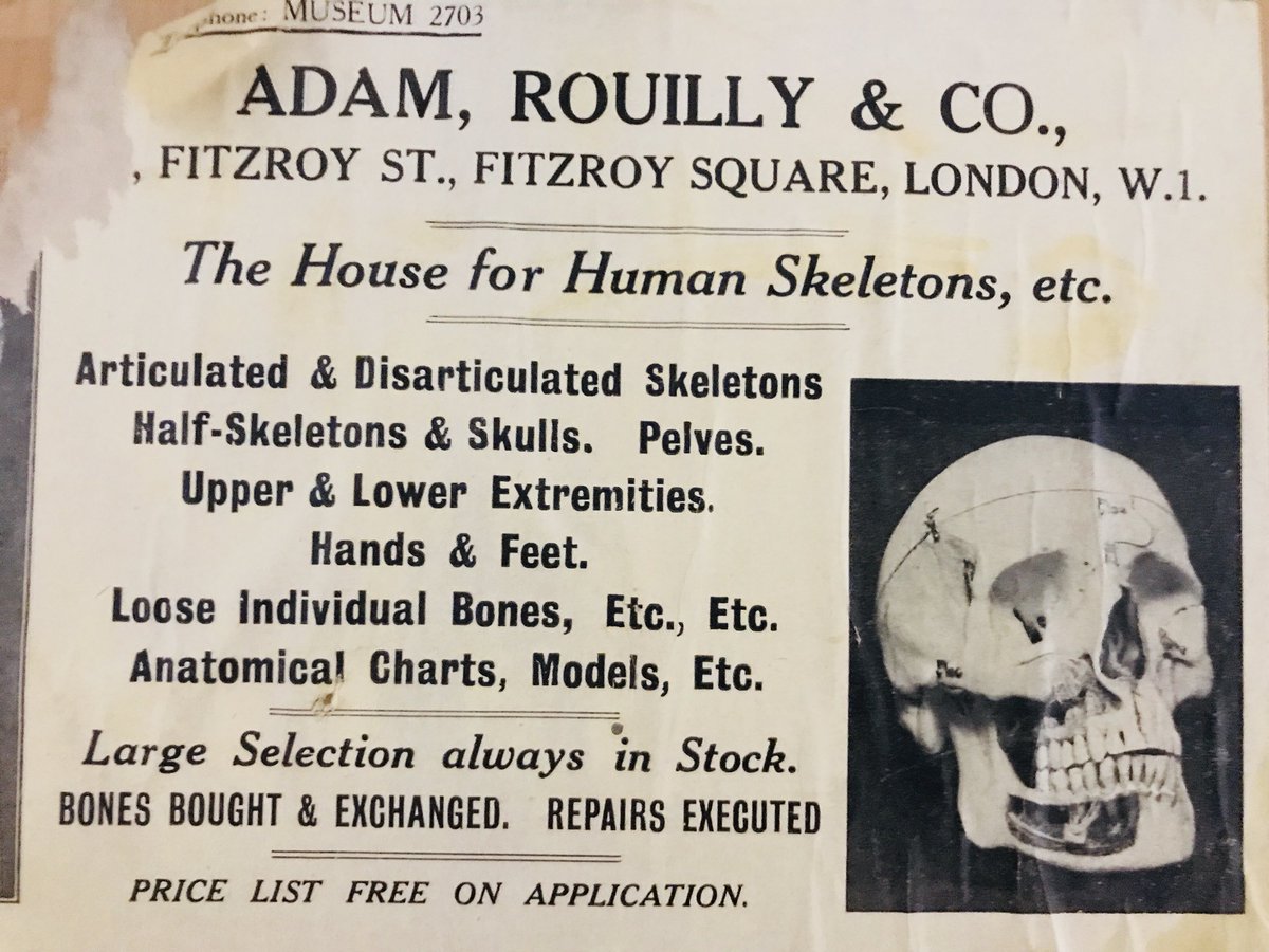 DrVerityBurke's tweet photo. Tonight’s gloomthy glee comes to you courtesy of @alteredbodies event on body technology 🤖 what is an altered body? https://t.co/6OZvRZ8MTX