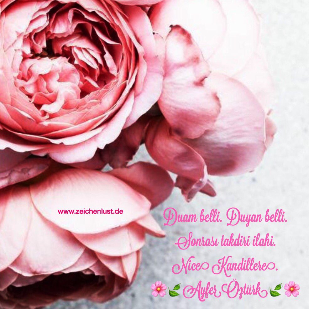 zeichenlust's tweet photo. Duam belli. Duyan belli. Sonrası takdiri ilahi. Nice Kandillere.
🌸🍃#AyferÖztürk🍃🌸 #beraatkandili #beraatgecesi #nicekandillere #kandil #dua #şükrünbololsun #love #liebe #aşk #creativedirector #eventstyler #editorialdesigner #zeichenlust #designbüro https://t.co/ZY1KXSCbGl