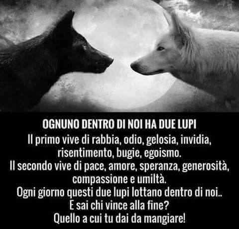 AndreaPeruzzo's tweet image. 