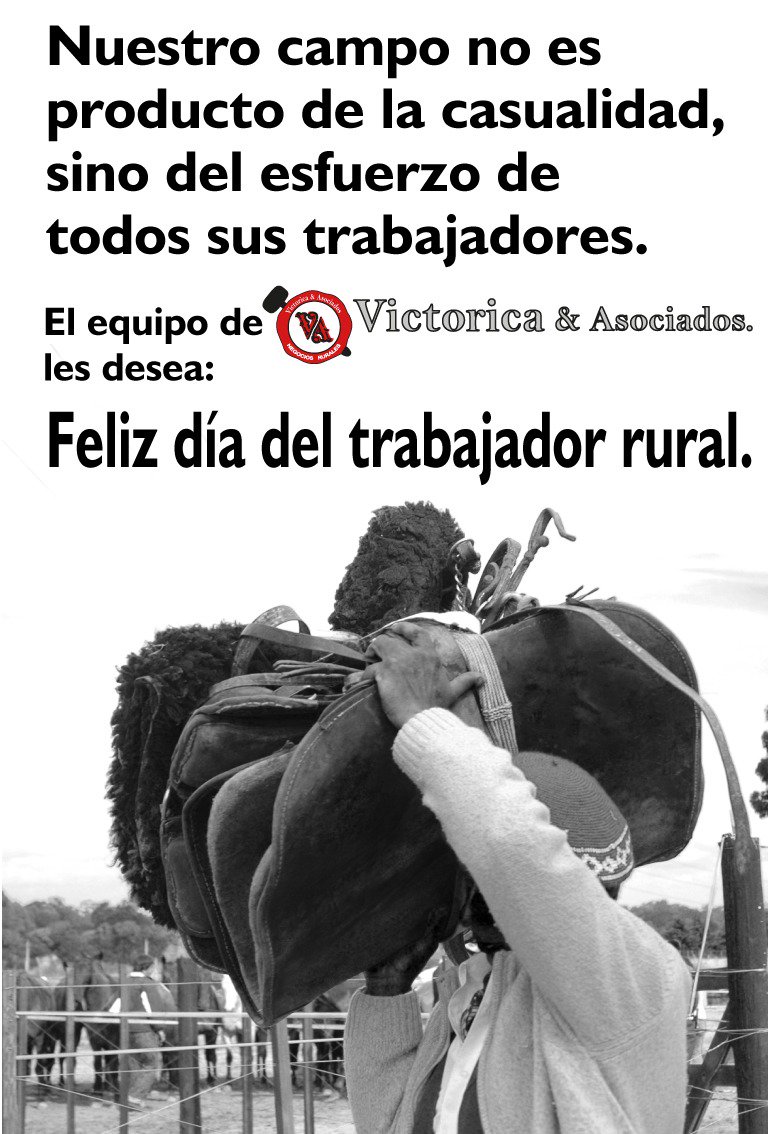 victorica_y_aso's tweet photo. https://t.co/nMSiKaQogM