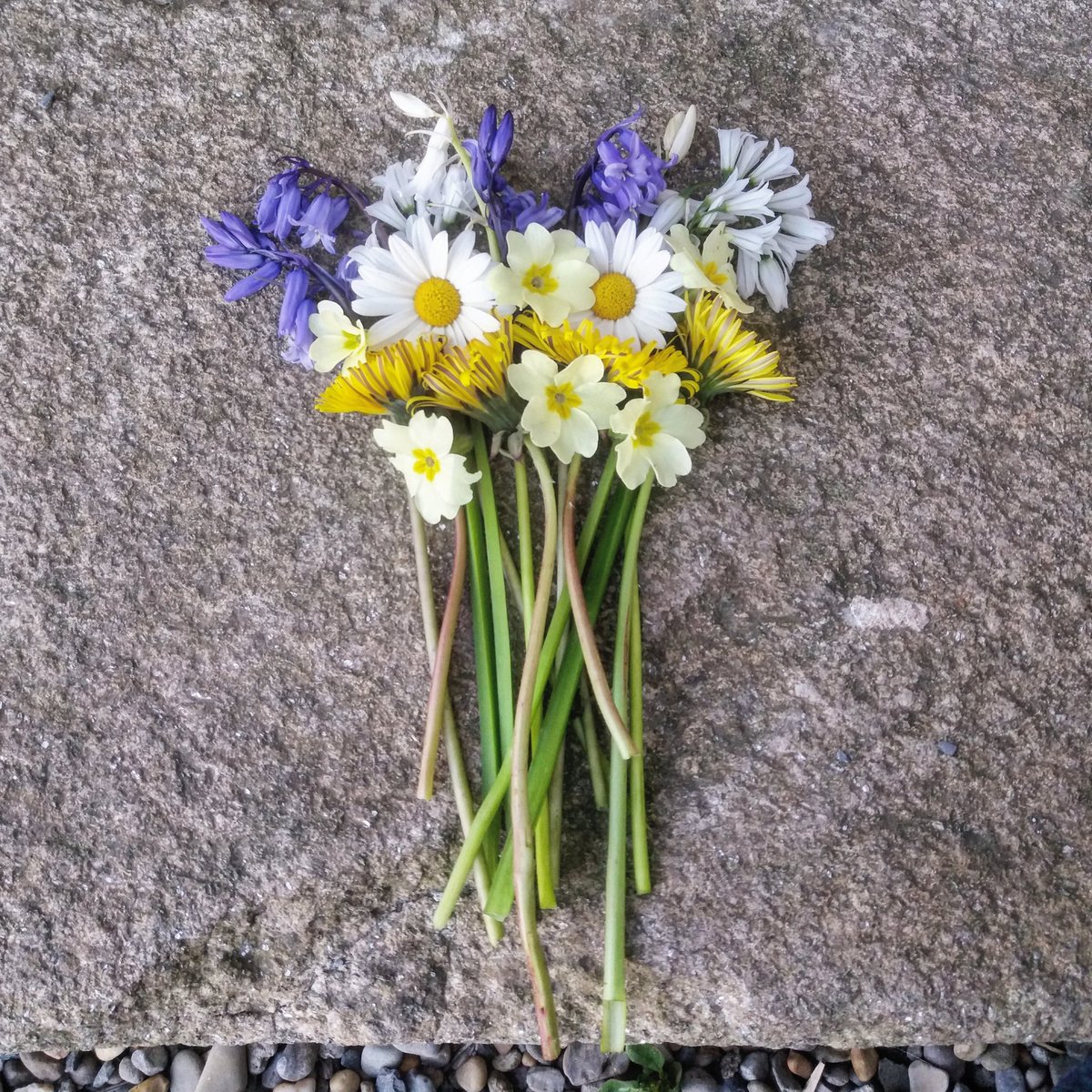 irarchaeology's tweet photo. Just left our May flowers on the front doorstep. This old Irish custom involves gathering flowers on May Eve (or in some places on May day morning) and leaving them in front of the main threshold. It was believed to protect the house from harm or evil #folklore #folklorethursday https://t.co/FhiMurC2mk