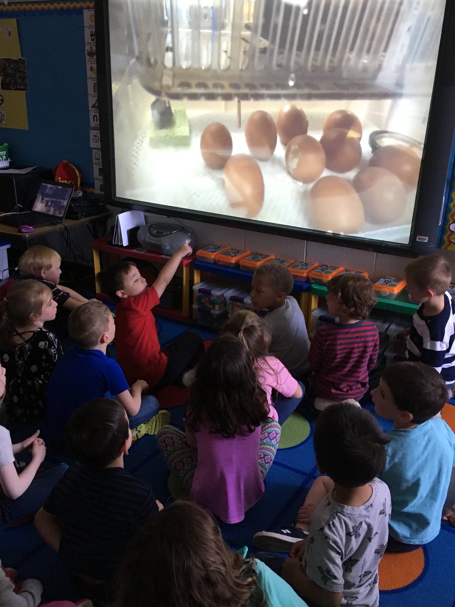 It’s about time!! #chickhatching #TMESEagles #MrsStampK youtu.be/f84MP4pntT0