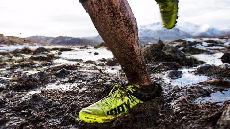 Boulder Running Co. tweet media