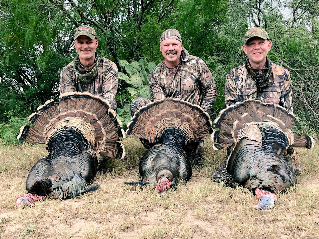 JeffMiller17's tweet photo. Just wrapping up a great hunt in South Texas! #turkeyhunting #llbean #guidetotheoutdoors https://t.co/1g20Ockajy