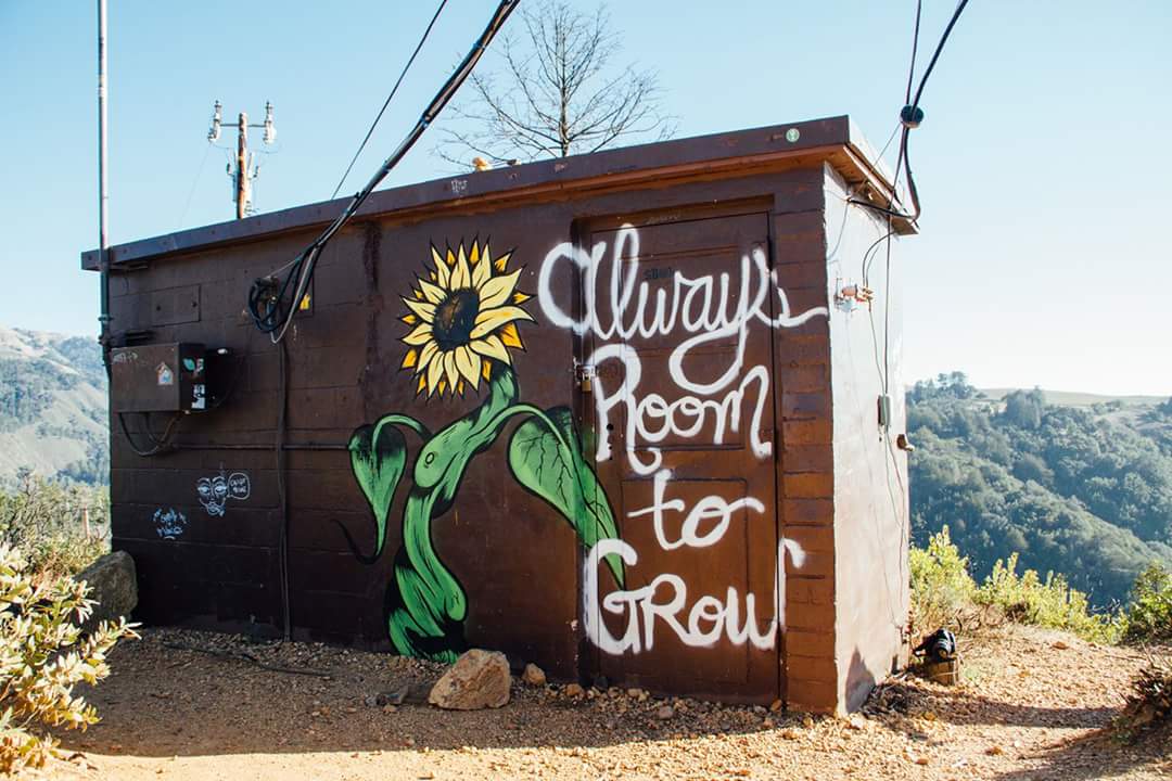 BulbTechnology's tweet photo. Love this and so true. It's time to keep on growing! #bulb #bulbwellness #bebulb #bewell #beyou #technology #cannabis

Photo via Kyle Glenn. https://t.co/UXtToQihVt