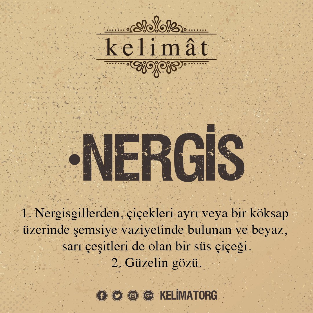 kelimatorg's tweet photo. Nergis ne demek? https://t.co/lybxTZ6O0t #nergis https://t.co/BRKgQNTfp1