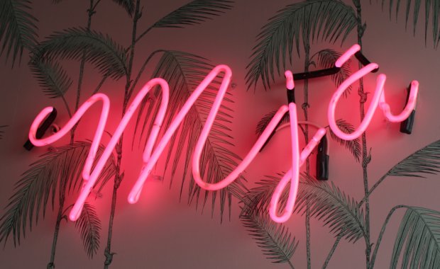 Reykjavík's first (and only) cat café is the purrfect café for cat lovers! A wonderful little place to meet Reykjavík's most adorable residents! #Cats #CatCafé #Reykjavík #Iceland
icelandmag.is/article/purrrf…