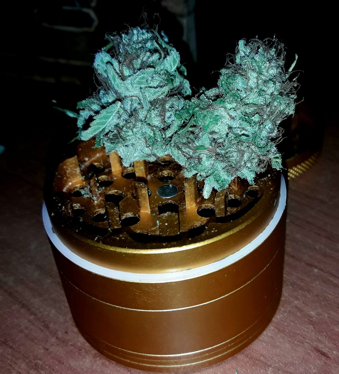 Apez140's tweet photo. @GeaSeeds @AdrycManellson @INMAQ16 @Sebaccf @barbatesa @HempCropEs @RubioTetra @Adler_Sinclair @Roxeles @ChanelPalenzue1 @ProXL_Spain Weed Tarde ya #GeaTeam, 
Seguro que tienes los tuits programados, Jajsss ..
Es Broma Amig@s.
Alegría, #LosMejoresHumos de tu  #BuenaHierba, Paz, Semis,
Y a Disfrutar a Tope de lo qué queda de Puente.
Un Abrazo desde nuestra Ensenada en Cantabria:-))) https://t.co/9G4nAKxh4i
