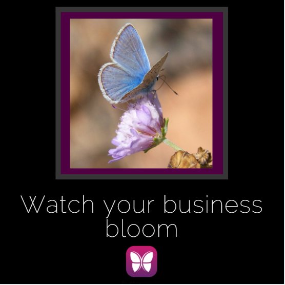 Flutter Media tweet media