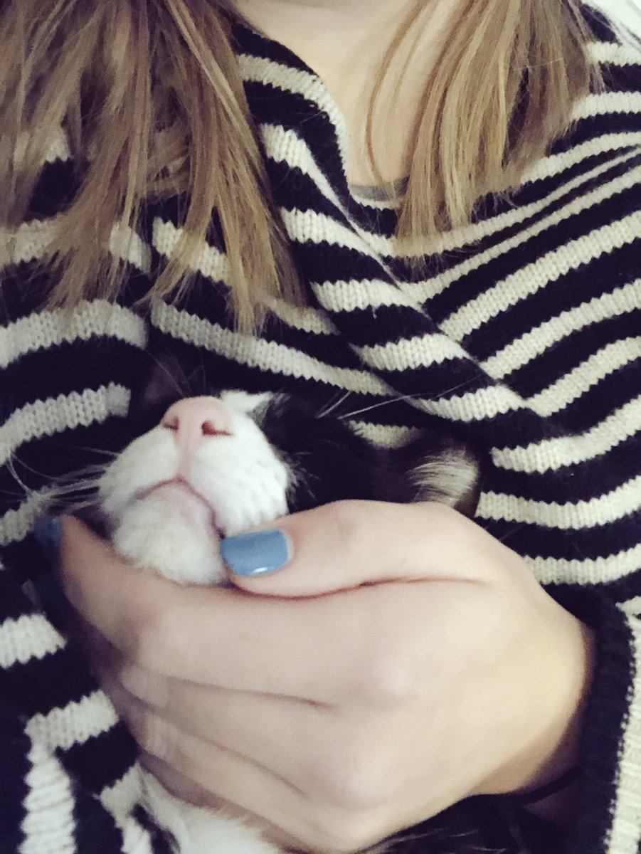 GemmaAnneStyles's tweet photo. It’s #NationalAdoptAShelterPetDay! Have to say I’m not entirely sure which nation this applies to but, regardless, let me assure you that previously unwanted animals are more than capable of falling asleep in weird places and making your heart swell #AdoptDontShop https://t.co/00haJe28vd
