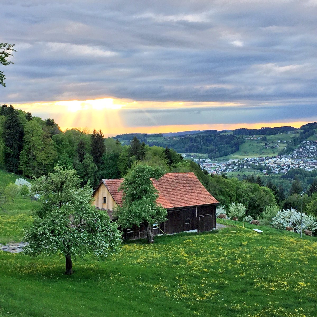 St.Gallen. 💚