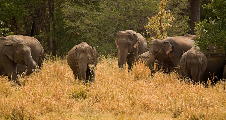 pythonizame's tweet image. Te compartimos algunos errores comunes en BD de #PostGreSQL y sus soluciones correspondientes. Esto para el caso de usuarios #MACOSX y que utilizan la app Postgres.app