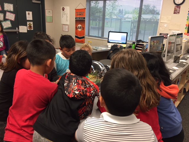 Capri Elementary School Library tweet media