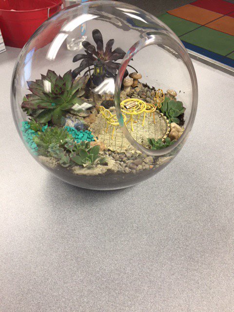 Capri Elementary School Library tweet media