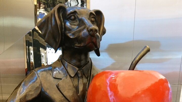 Lucy Foley tweet media