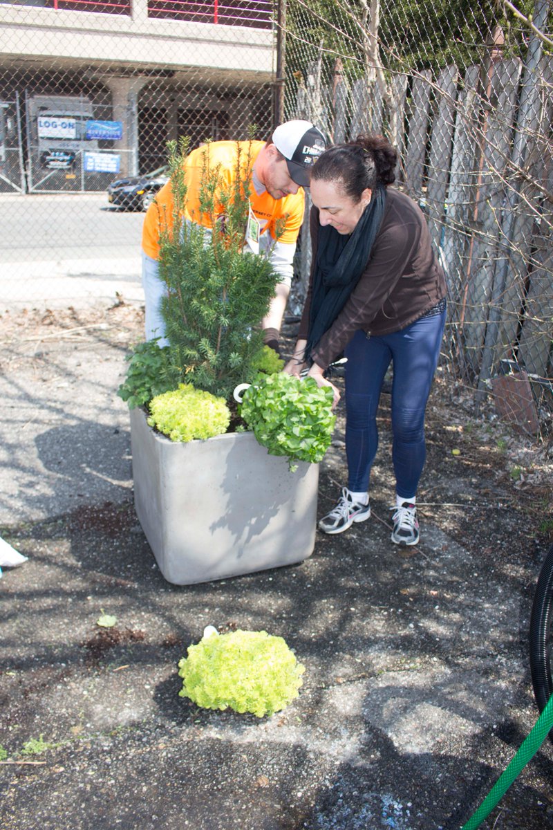 cityoftreesjc's tweet photo. Saturday was a beautiful day to get our hands dirty! Thank you to all the volunteers, @SolomonforJC and Commissioner Reginald who spent their morning beautifying 16th Street Park near Holland Gardens! #jcmakeitgreen #jerseycity #parkbeautification https://t.co/lPxoZTp90v