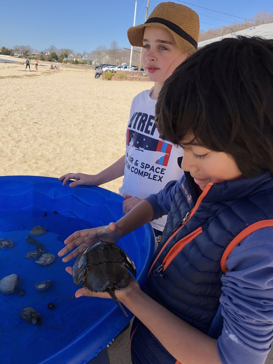 CCE Marine Program tweet media