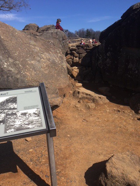 Hannah Mason tweet media