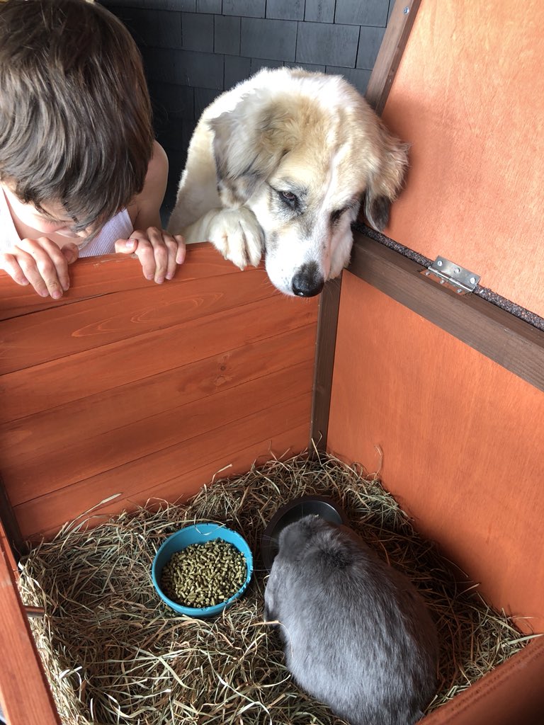 Jeffrey Dean Morgan tweet media