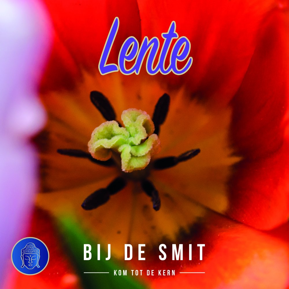 bijdesmit's tweet image. Het is lente! Tijd voor opruimen. Alles wat oud is en niet meer dient aan de kant te doen, om het nieuwe wat is en wat je gaat creëren te omarmen #therapeut #consult #healing #lente