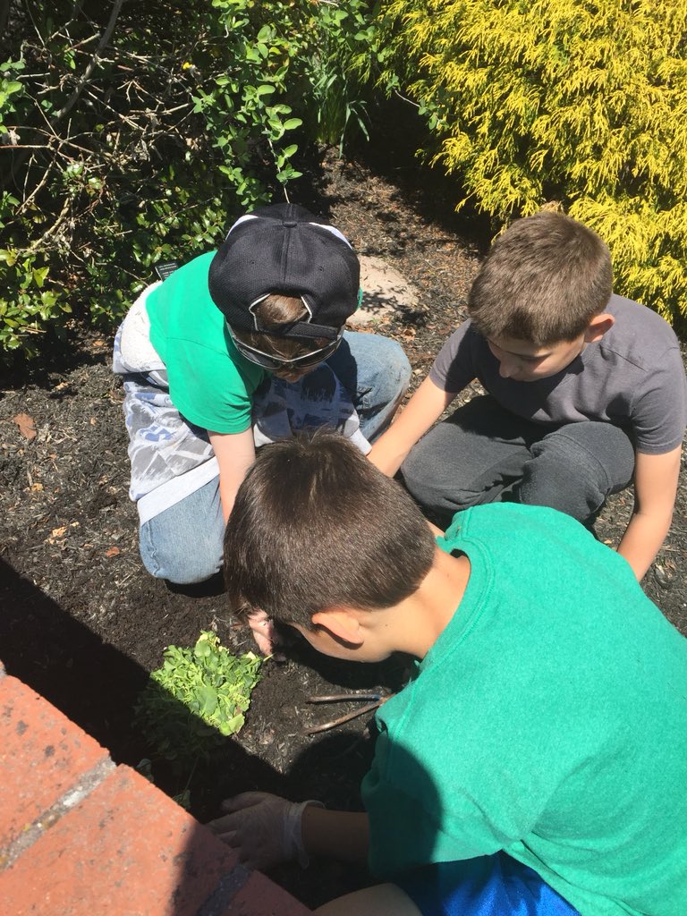 4th grade students participate in school cleanup and landscaping project!  #DoverPROUD
