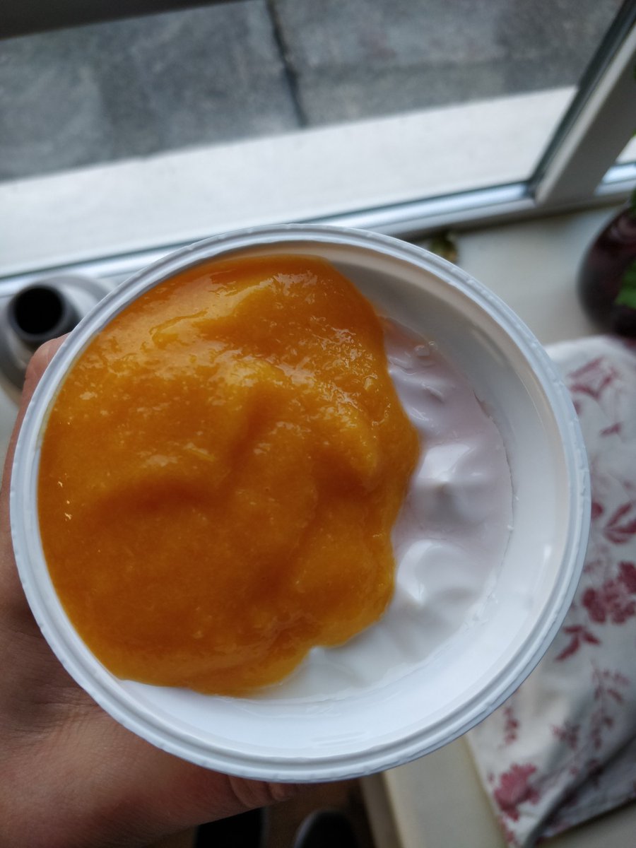 YvonneCassidy10's tweet photo. Pureed Salmon Supreme for dinner and skyr yougurt with pureed peaches for dessert. I was still full from lunch but I did my best to get through all this. I am full to the brim but still 600kcal below my kcal requirements #malnutritionmatters #pureedmeals #dyspahgia #safeswallow https://t.co/jWuRMeXHf3