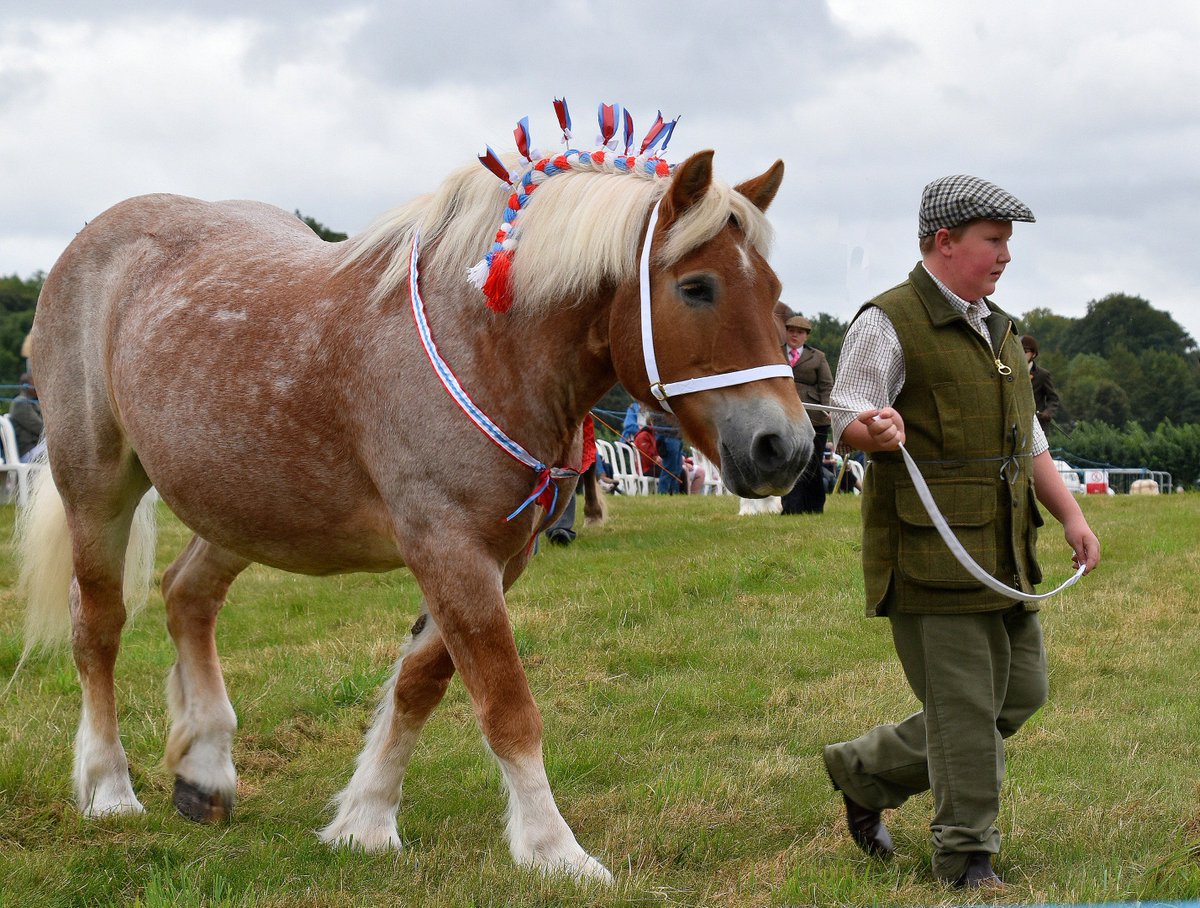 Sevenoaks Lions Club tweet media