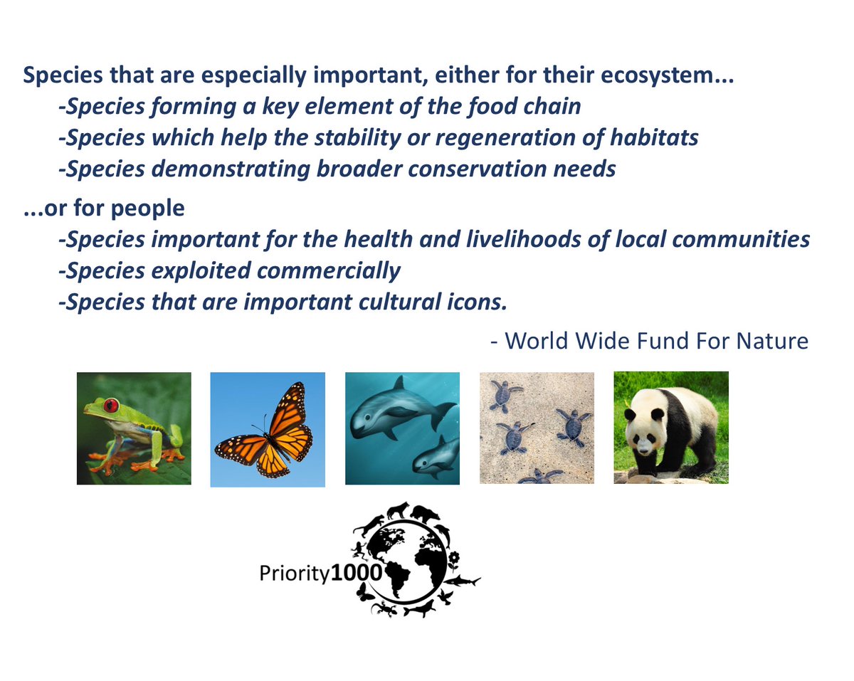 PhDVincent's tweet photo. What are #PrioritySpecies ? #biodiversity #Priority1000 @WWF 🐼 https://t.co/PtCgkTZhIz