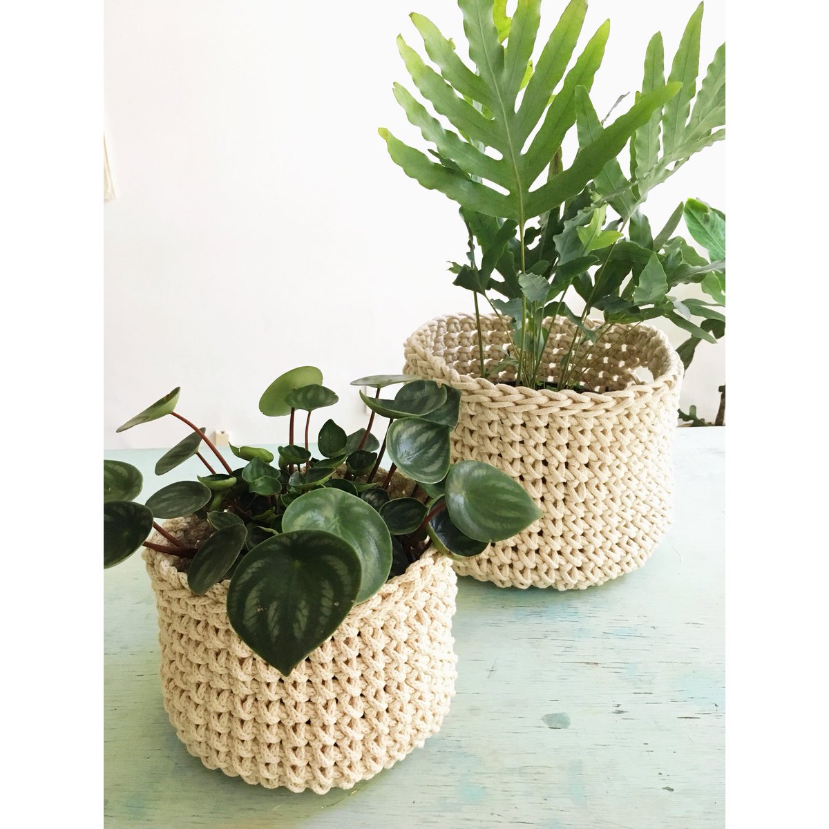 Handmademx's tweet photo. Los canastos para vestir a tus plantas. 🌿 https://t.co/zSV70kOFQY