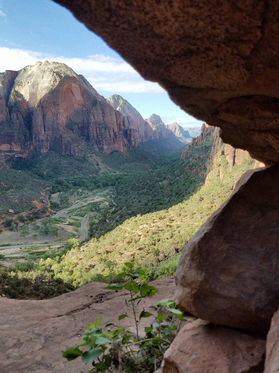APatchingEES's tweet photo. Thought I'd share one of my favorite photos from my road trip last summer. @ZionNPS was hands down the most beautiful place I've ever been. It's landscape like this that makes conservation worth it. #ees028 https://t.co/sjOQjWjYLw