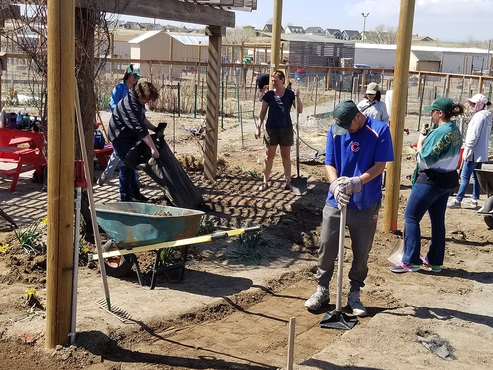 CSUAlumni's tweet photo. Shout out to #CSUnity volunteers at #Denver Urban Farm last weekend and all the Rams across the country who make a difference building communities on #CSUnity Day of Service! 👏 https://t.co/JTYx6ojdQi