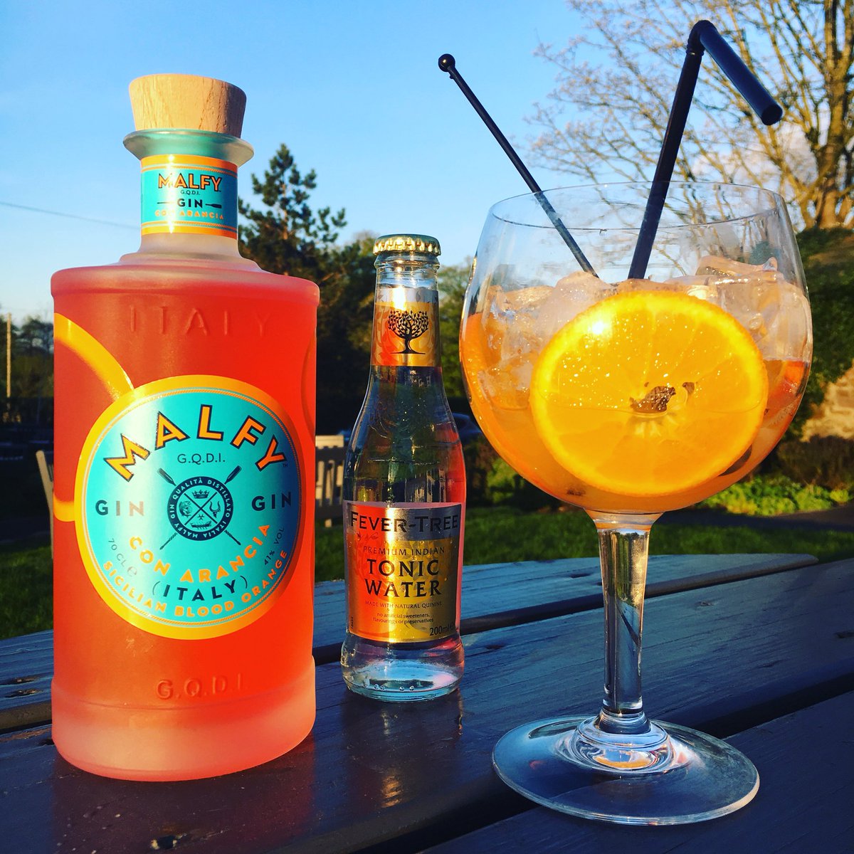 Our Gin of the Month for May...the Malfy Sicilian Blood Orange is available from tomorrow!! 🍊🍸  #Exciting #Malfy #BloodOrange #Sicily #Gin #Italy #Cocktail #GnT