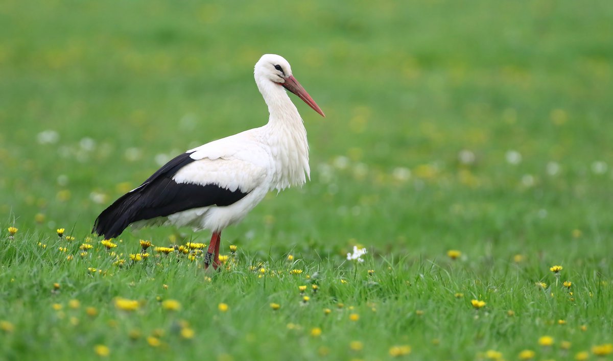 Lee Fuller tweet media