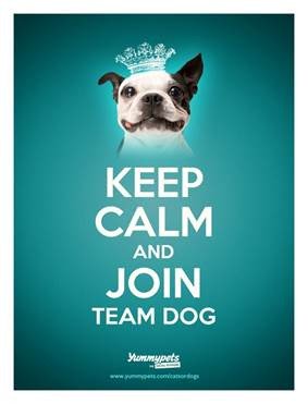 VVMentors's tweet image. Valley Venture Mentors (Team Cats) and @TheTechFoundry (Team Dogs) will join forces in this year&apos;s Valley Gives! Together, we work to transform our local economy! Join us on Tuesday, May 1st for Valley Gives. #ValleyGives #VVMentors #TechFoundry #Give.Get.Grow.