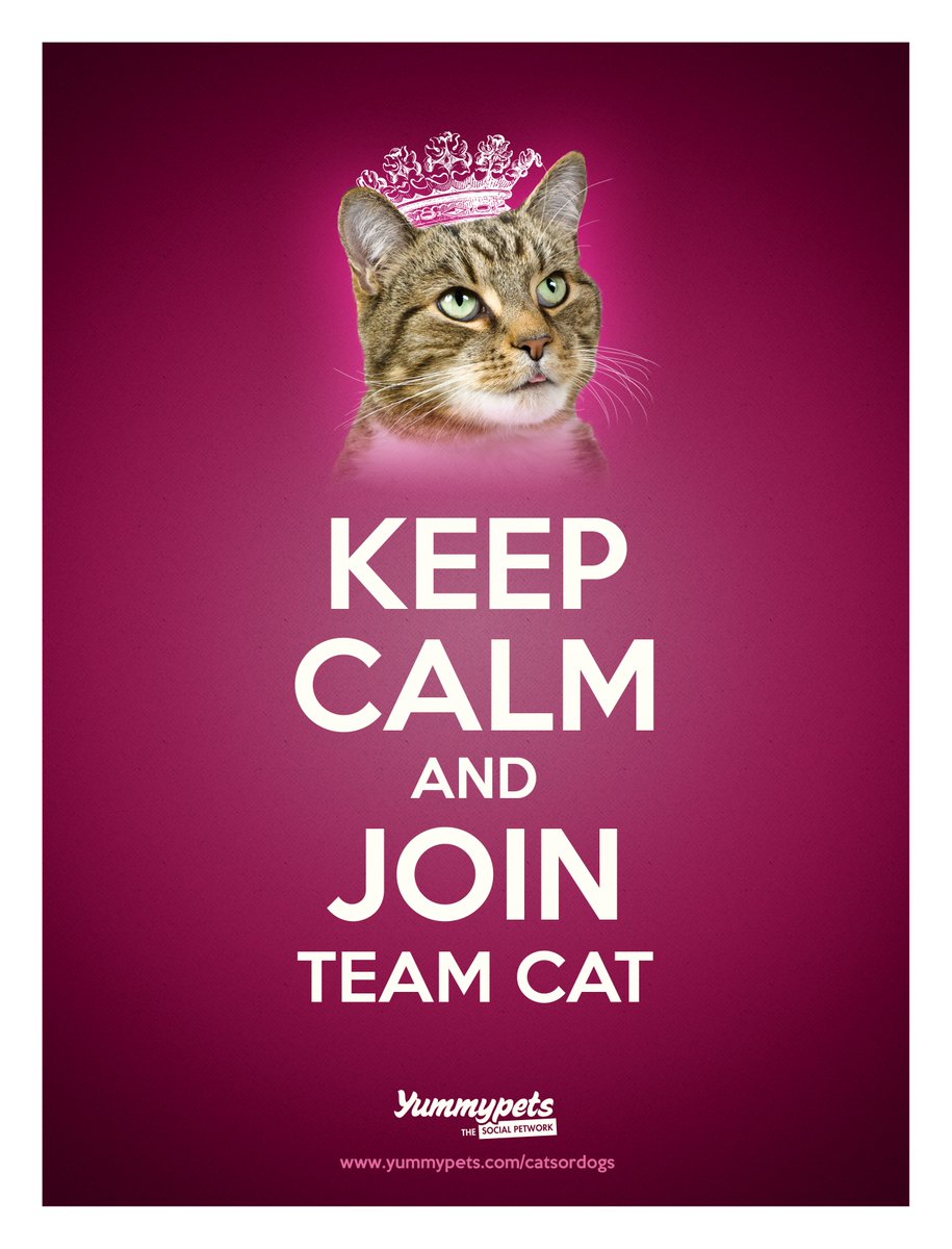 VVMentors's tweet image. Valley Venture Mentors (Team Cats) and @TheTechFoundry (Team Dogs) will join forces in this year&apos;s Valley Gives! Together, we work to transform our local economy! Join us on Tuesday, May 1st for Valley Gives. #ValleyGives #VVMentors #TechFoundry #Give.Get.Grow.