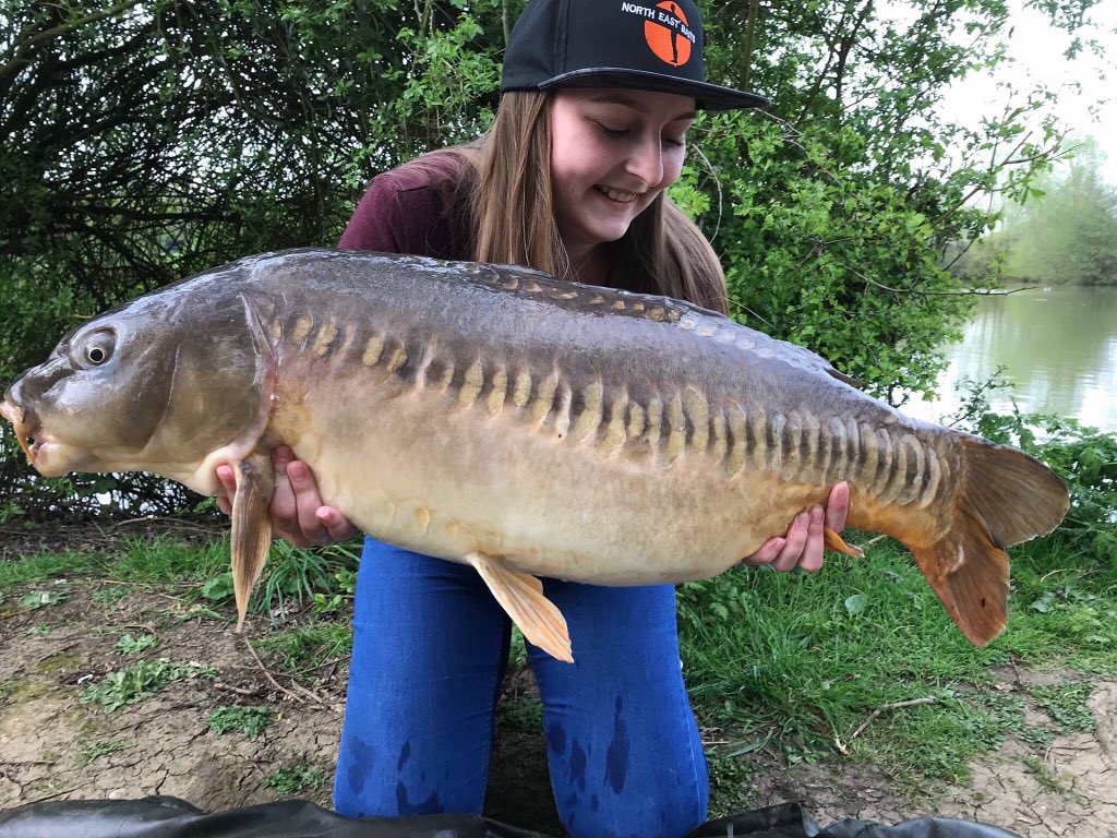 Northeastbaits2's tweet photo. Heres Faye with a belter #girlpower #carpgirl #girlcarpers #carp #carper #scaleys #northeastbaits #ladiesangling #onthebank https://t.co/OzooS7rLvM