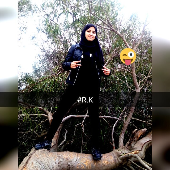 قمة العشق ان يجبرك الحب علي الكلام ..... فيعجز الكلام عن التعبير .... فيعم الصمت المكان وتبدأ لغة العيون..