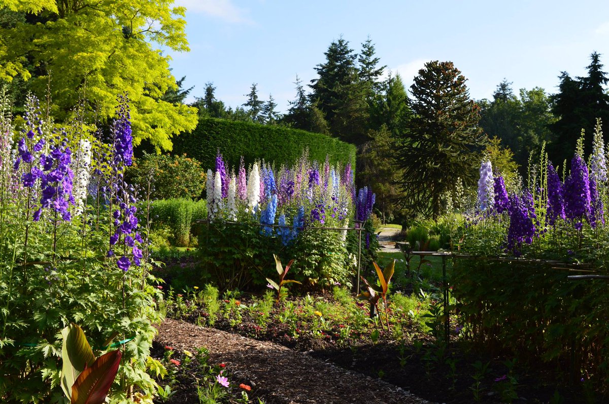 TeamKerrYVR's tweet photo. Whether you're new to #Vancouver or already a #Vancouverite, enjoy these five ways to spend your May #LongWeekend! https://t.co/HisZijo1FR #thingstodoinvancouver #victoriadayweekend #Vancouveractivities https://t.co/dQq6VZoQ99