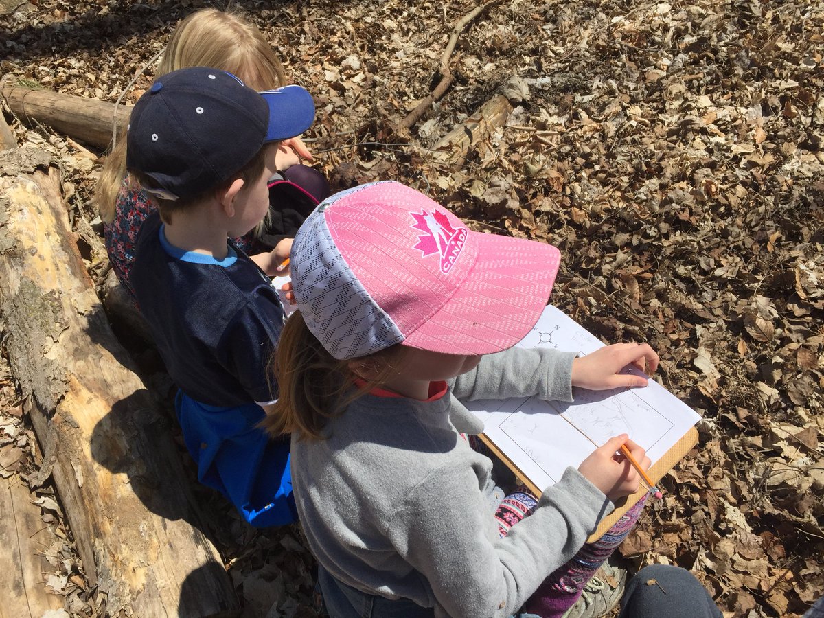 WildwoodCA's tweet photo. Thanks @LittleFallsPS for a couple great days of learning on your schoolyard and @townofstmarys Sparling Bush! #WildwoodSchoolyardOutdoorSchool #artoutside #scienceoutside #literacyoutside #numeracyoutside #socialstudiesoutside https://t.co/hqxK0351Mi