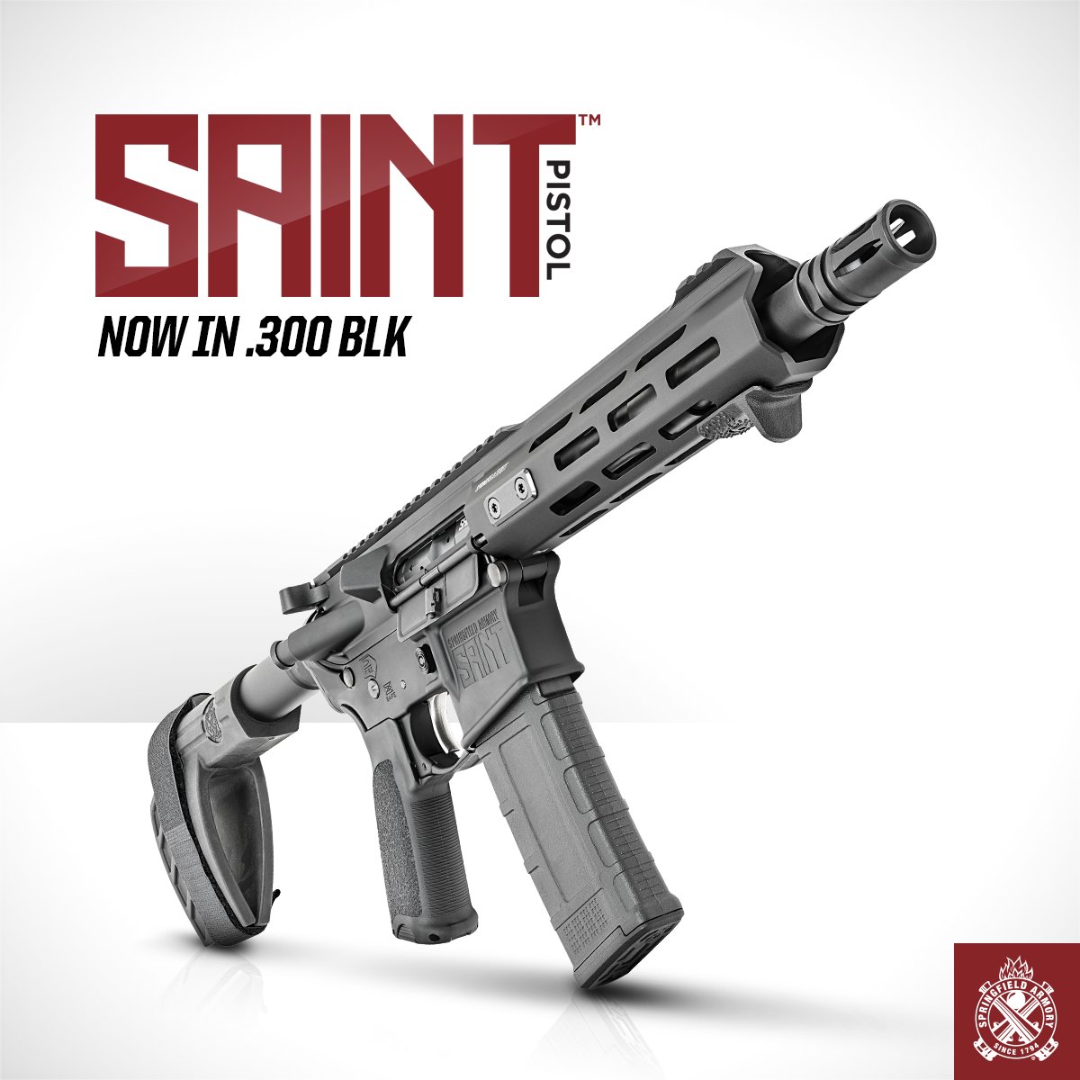 ...the .300 BLK SAINT Pistol is your answer.Specs. 