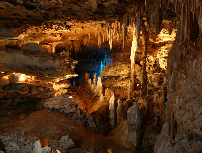 InfectDisNews's tweet photo. #CDCEIS: Lyle R. Petersen, MD, MPH, comments on the emergence of a rare tickborne disease in caves around Austin, Texas: https://t.co/p0sms1xOHm @CDCgov https://t.co/bL2lvrIVWl